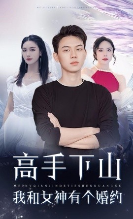 高手下山我和女神有个婚约