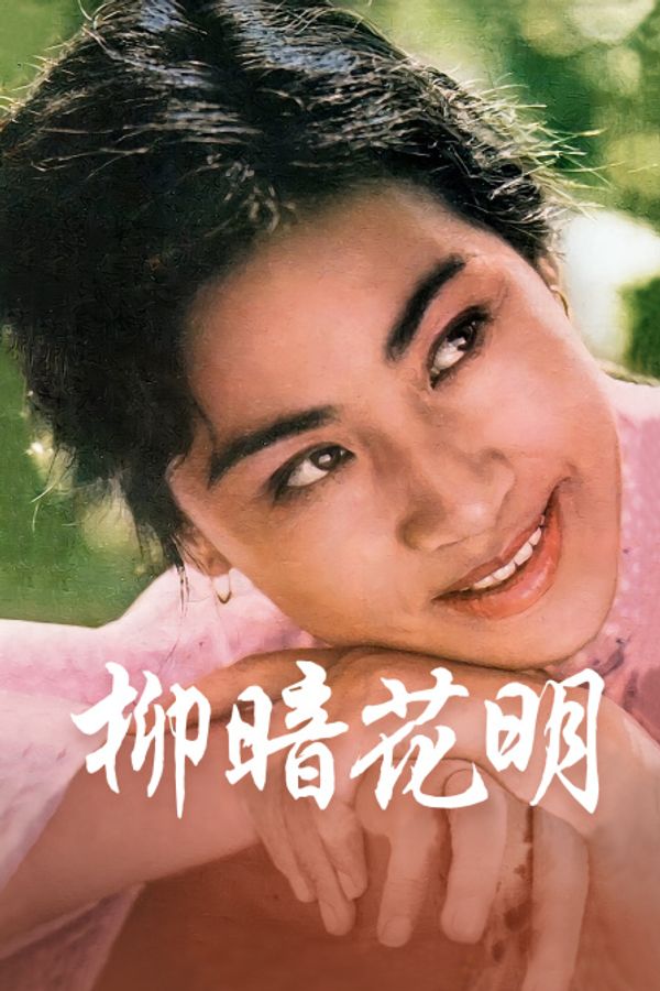 柳暗花明封面图