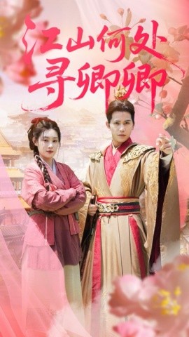 江山何处寻卿卿封面图