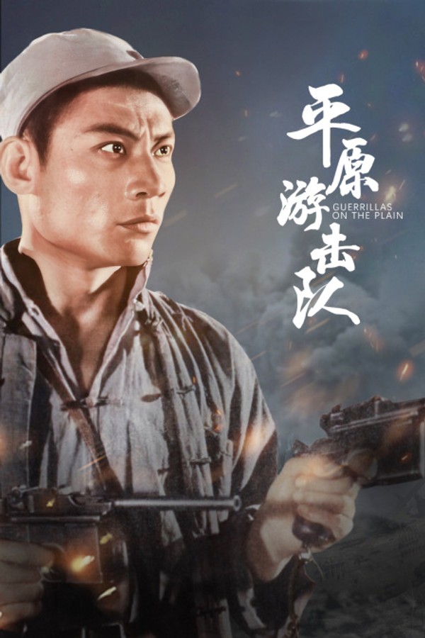 平原游击队封面图