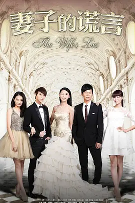妻子的谎言封面图