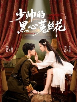 少帅的黑心菟丝花