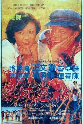 初恋风暴1978封面图