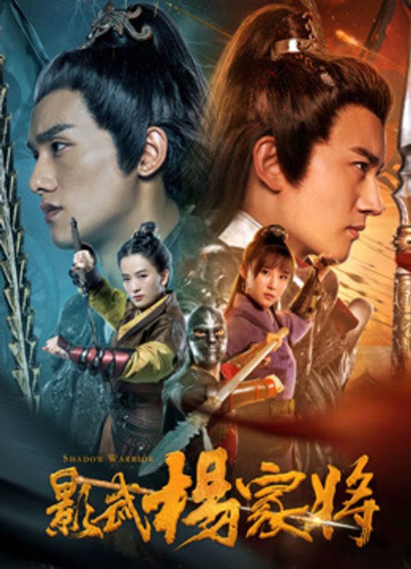 影武杨家将封面图