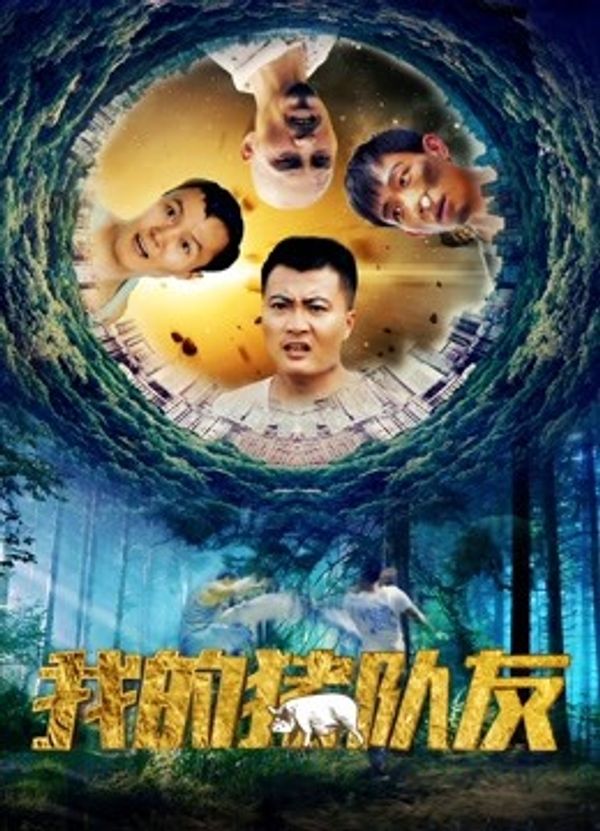 我的猪队友封面图