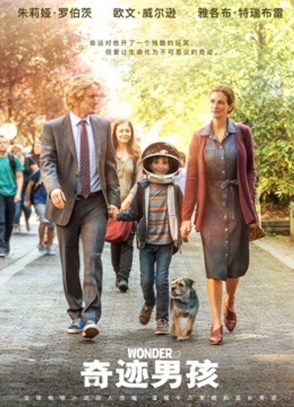 奇迹男孩封面图