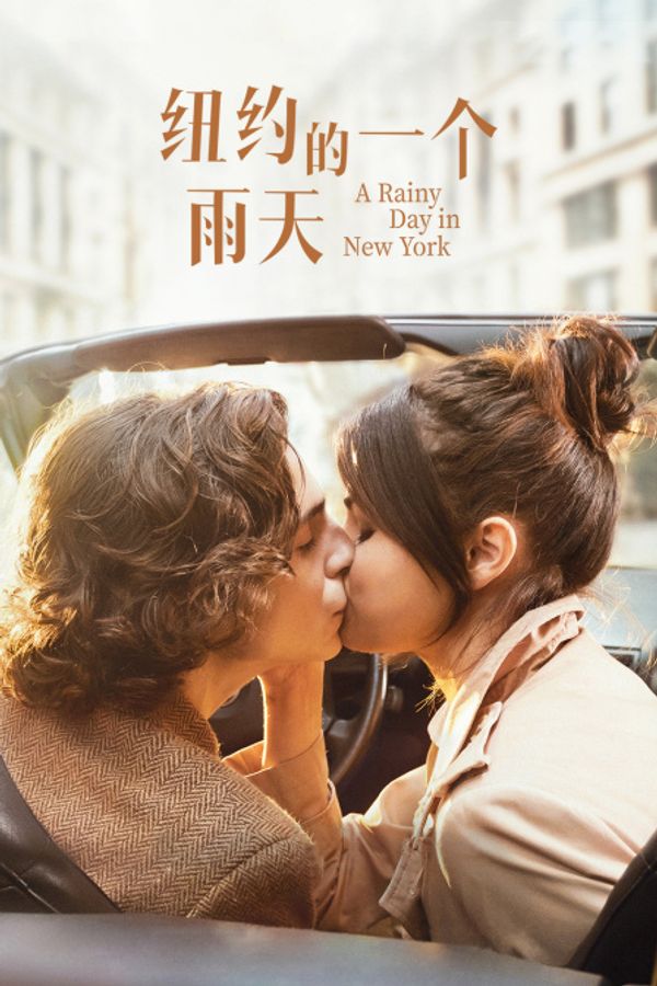 纽约的一个雨天封面图