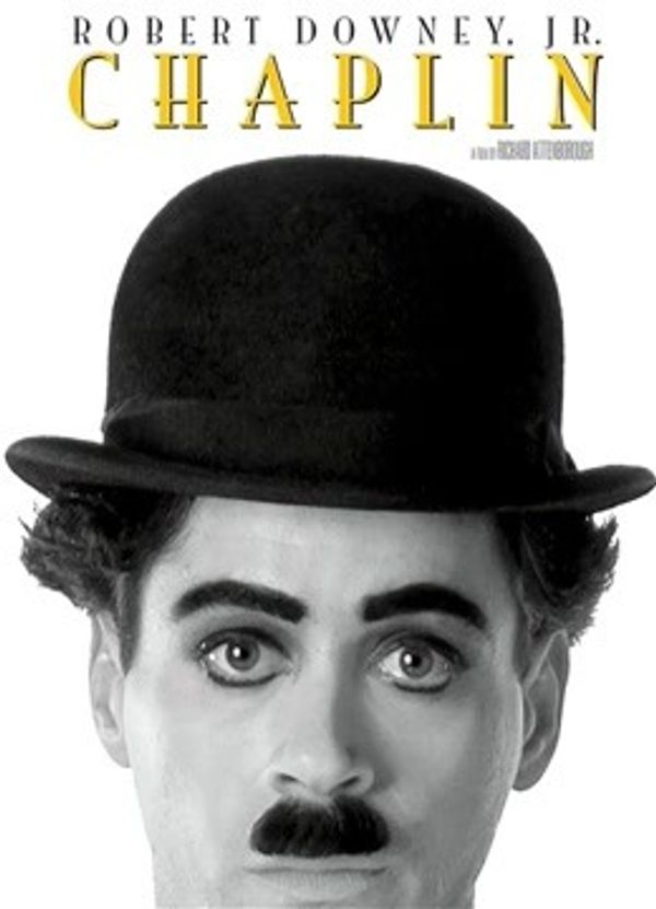 卓别林传封面图