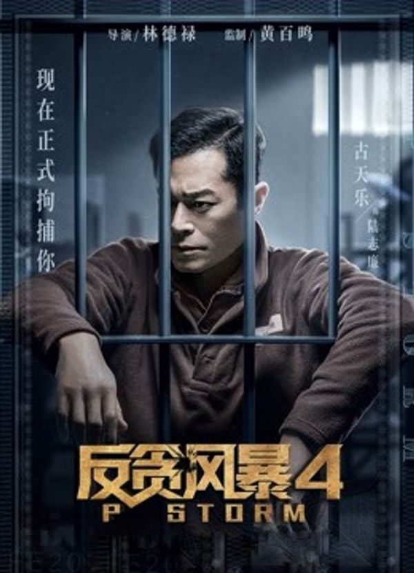反贪风暴4粤语封面图
