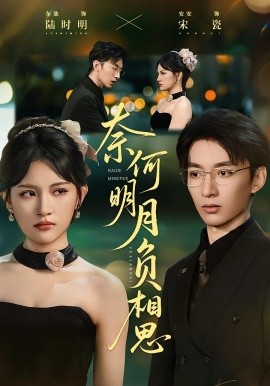 奈何明月负相思