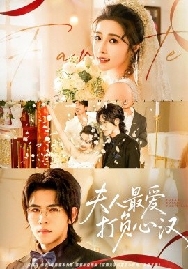 夫人最爱打负心汉封面图