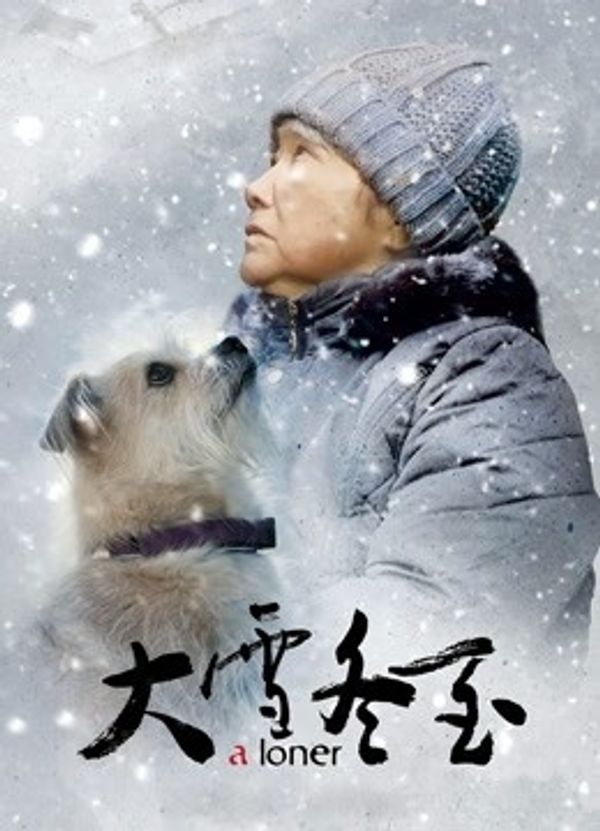 大雪冬至封面图