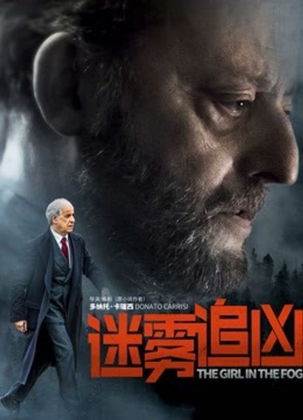 迷雾追凶国语封面图