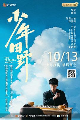 少年田野封面图