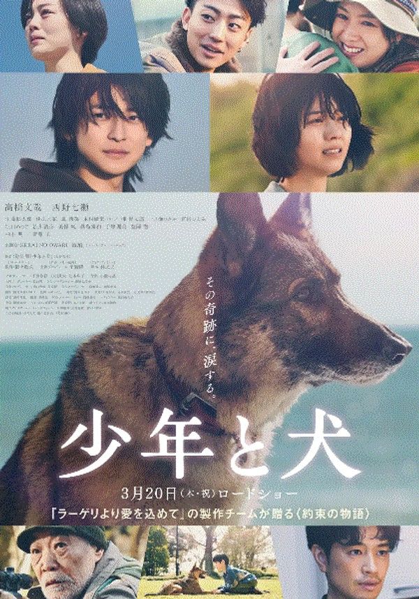 少年与犬封面图