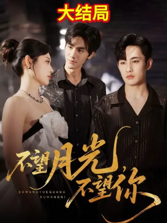 不望月光不望你封面图