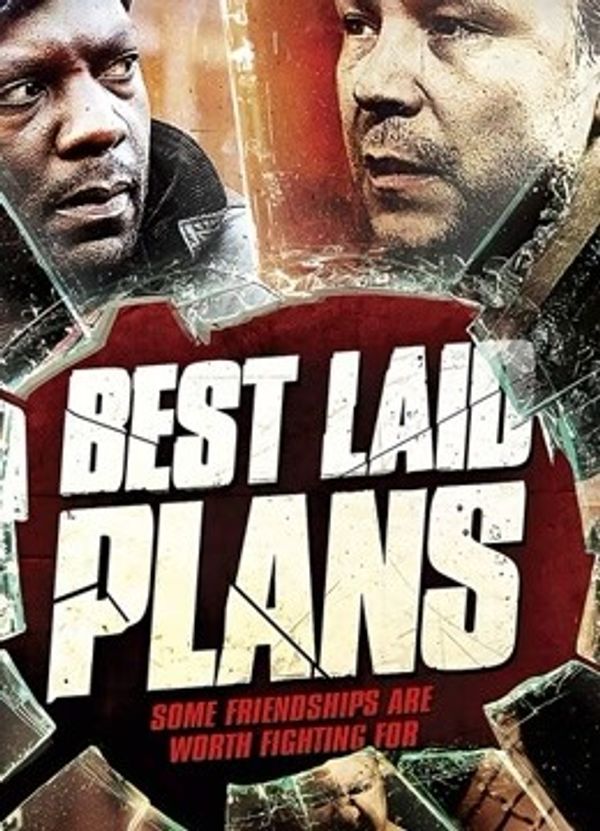 完美计划封面图