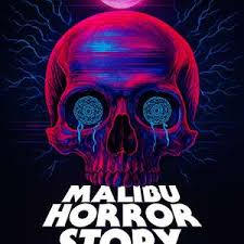 马里布录像带封面图