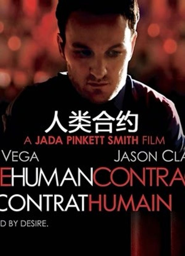 人类合约封面图