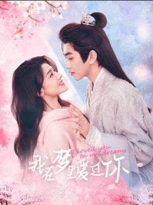 我在梦里爱过你封面图