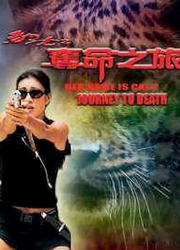 豹女之夺命之旅粤语封面图