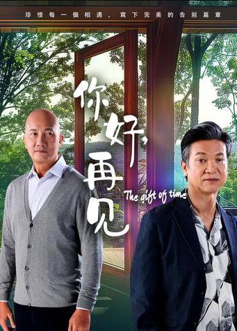 你好，再见2025封面图