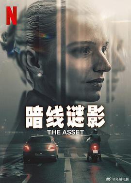 暗线谜影封面图