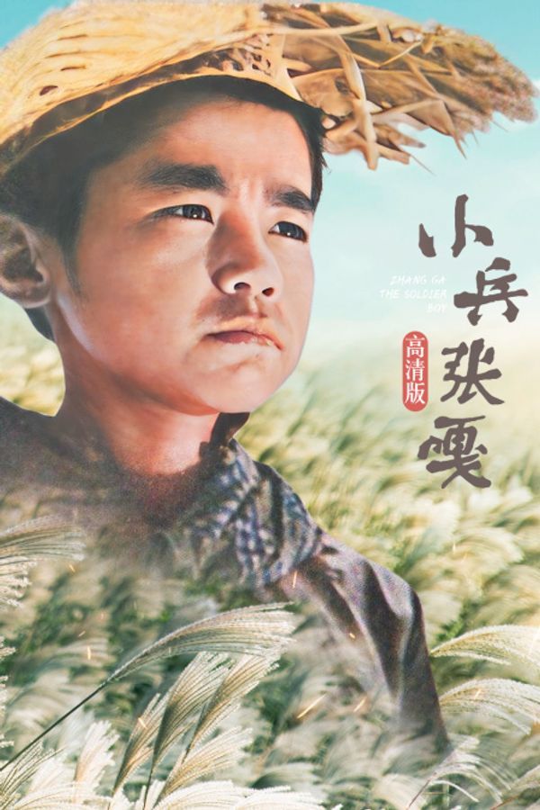 小兵张嘎 高清版封面图