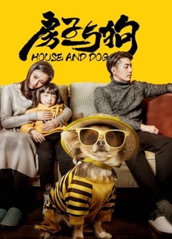 房子与狗封面图