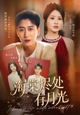 海棠烬处有月光封面图