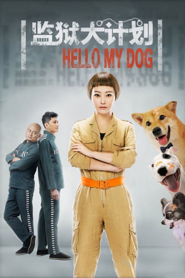 监狱犬计划封面图