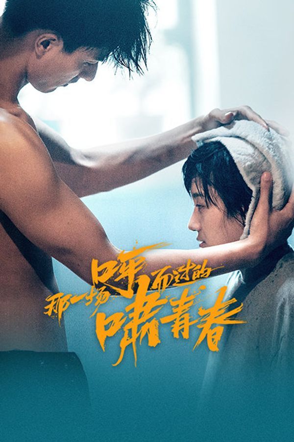 那一场呼啸而过的青春封面图