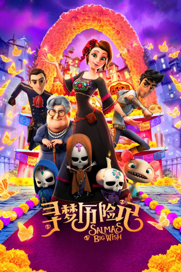 寻梦历险记封面图