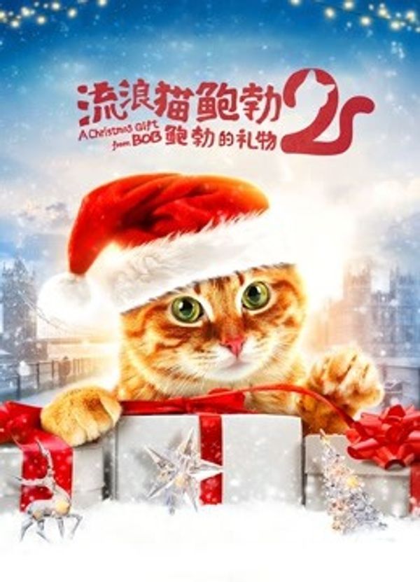 流浪猫鲍勃2：鲍勃的礼物国语封面图