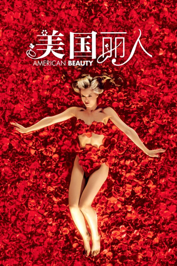 美国丽人封面图