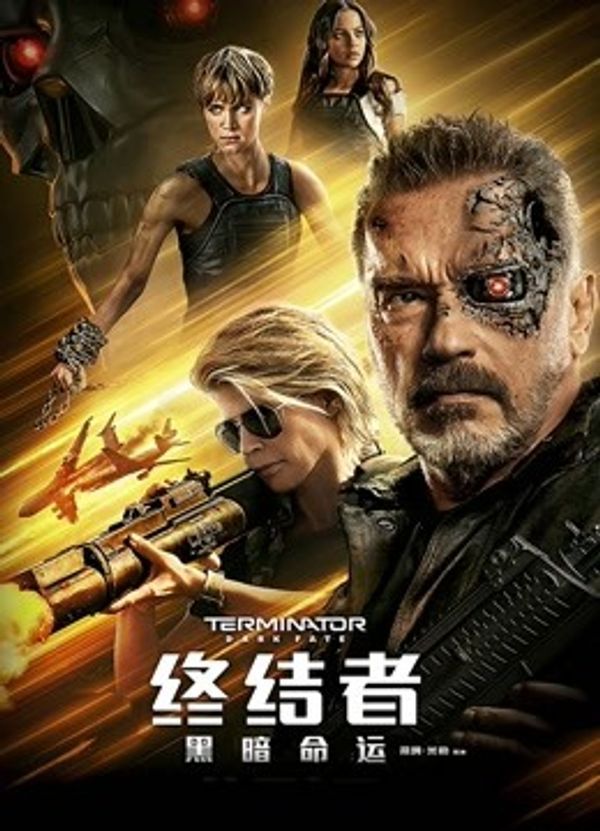 终结者：黑暗命运国语封面图