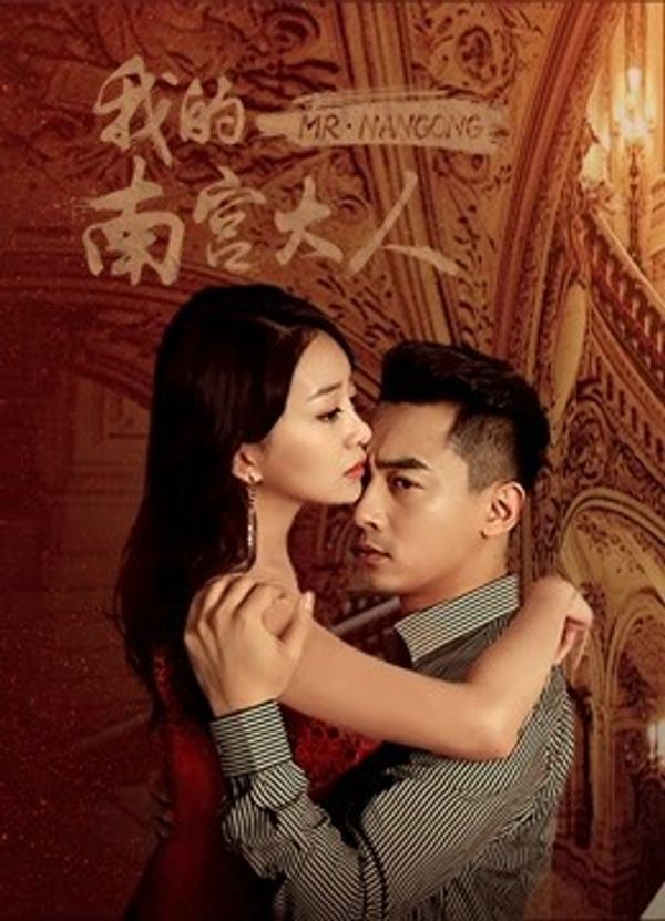 我的南宫大人封面图