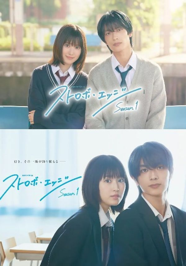 闪烁的爱情封面图