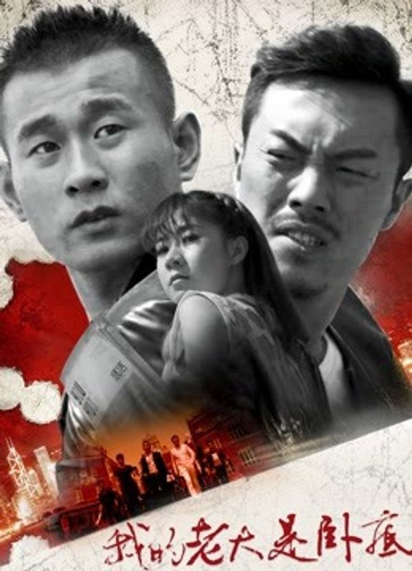 我的老大是卧底封面图