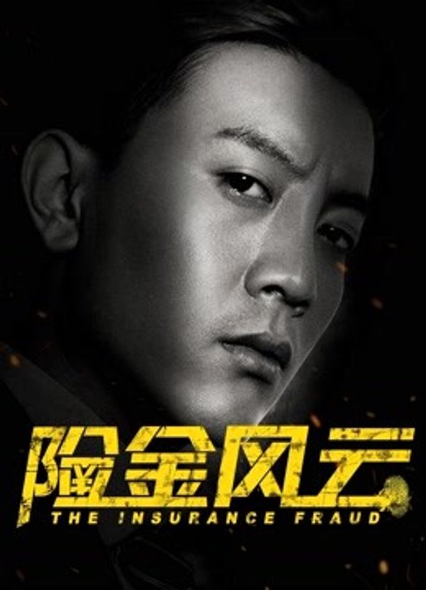 险金风云封面图