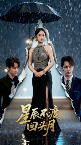 星辰不渡回头月封面图