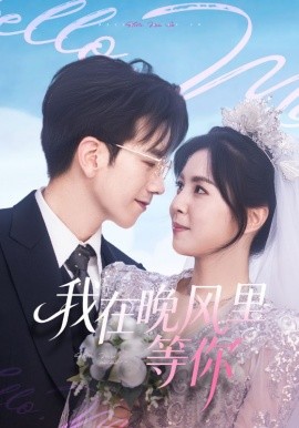 我在晚风里等你封面图