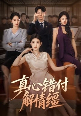 真心错付解情缰封面图