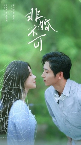 非婚不可封面图