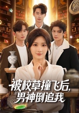 被校草撞飞后，男神倒追我封面图